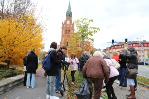 600 żonkili na 600-lecie Ełku, sadzenie cebulek
