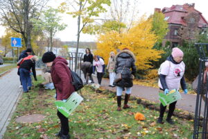 600 żonkili na 600-lecie Ełku, sadzenie cebulek
