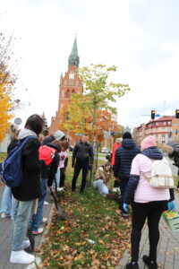 600 żonkili na 600-lecie Ełku, sadzenie cebulek